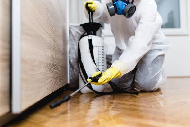 Pest Control for Restaurants in Highland, IN