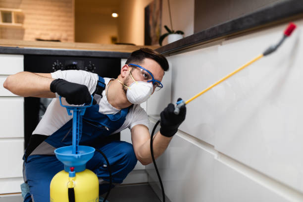 Best Cockroach Control Services  in Highland, IN