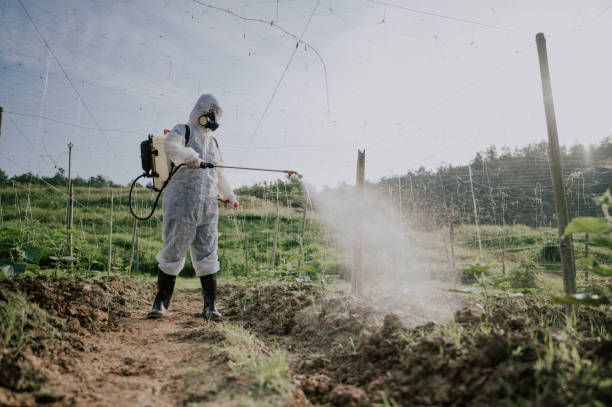 Best Commercial Pest Control Services  in Highland, IN