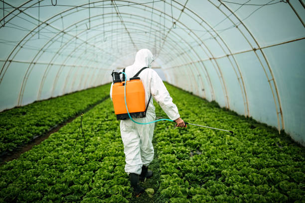 Best Pest Prevention Services  in Highland, IN