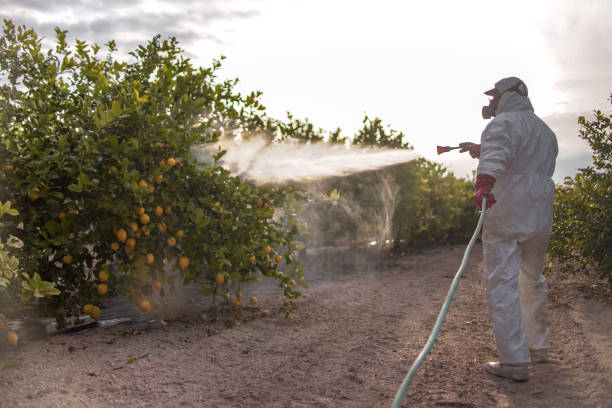 Trusted Highland, IN Pest Control Experts