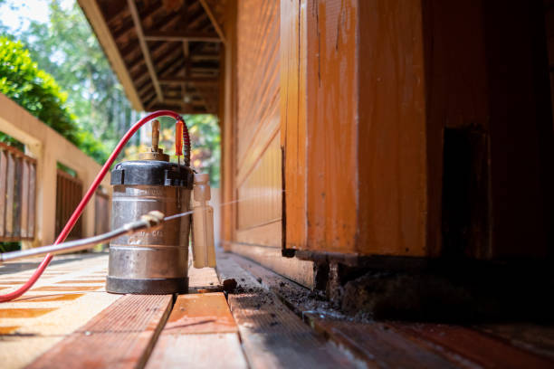 Best Ant Control Services  in Highland, IN