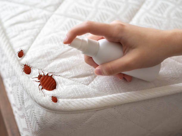 Best Mosquito Control Services  in Highland, IN
