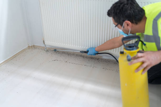 Best Termite Control Services  in Highland, IN