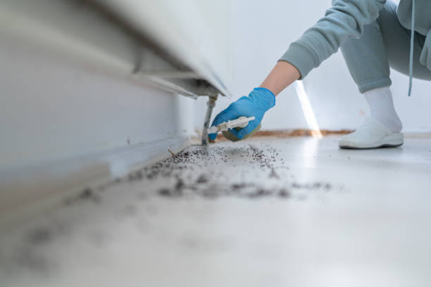 Best Flea Control Services  in Highland, IN