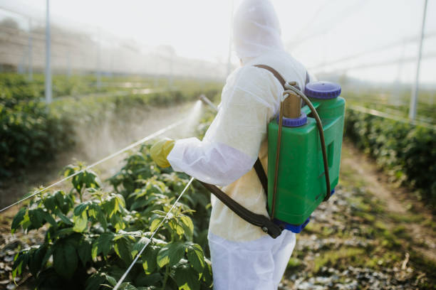 Best Insect Control  in Highland, IN
